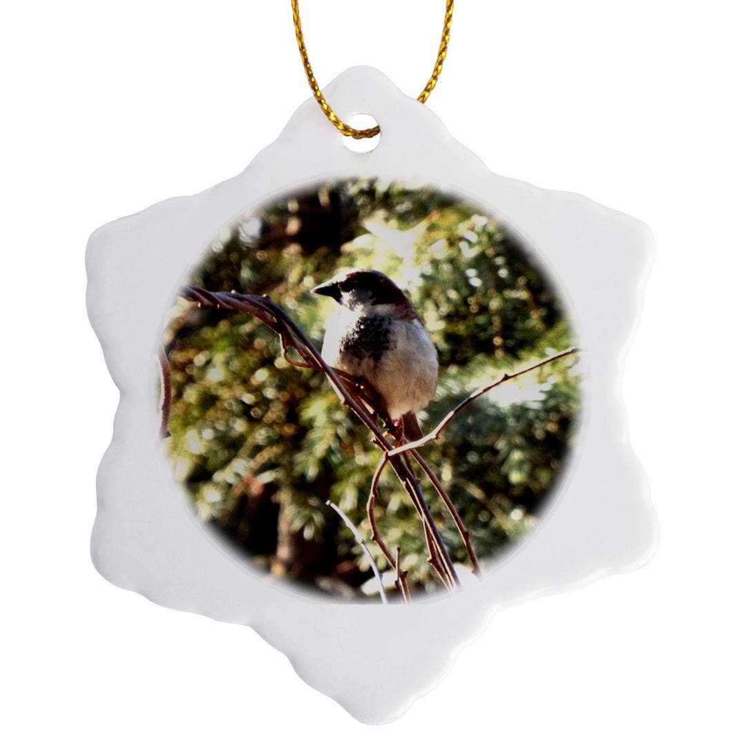 3dRose - Wholesale Ornament - 3dRose, Chubby Sparrow On Branch On Bright Summer Day, Ornament0