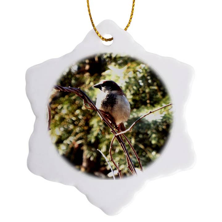 3dRose - Wholesale Ornament - 3dRose, Chubby Sparrow On Branch On Bright Summer Day, Ornament