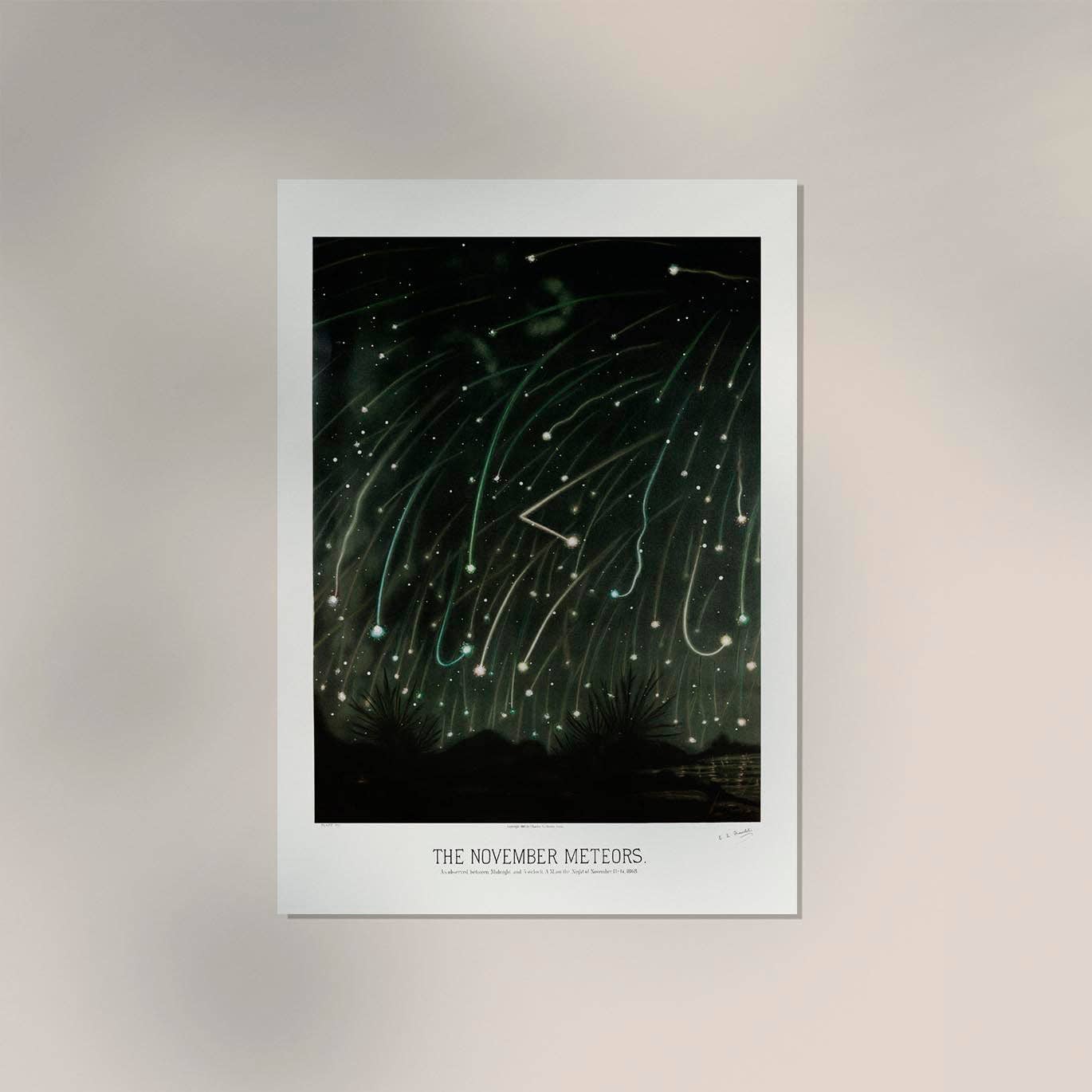 Patroa Studio - Wholesale Poster - November Meteors by Trouvelot Astronomical Poster2