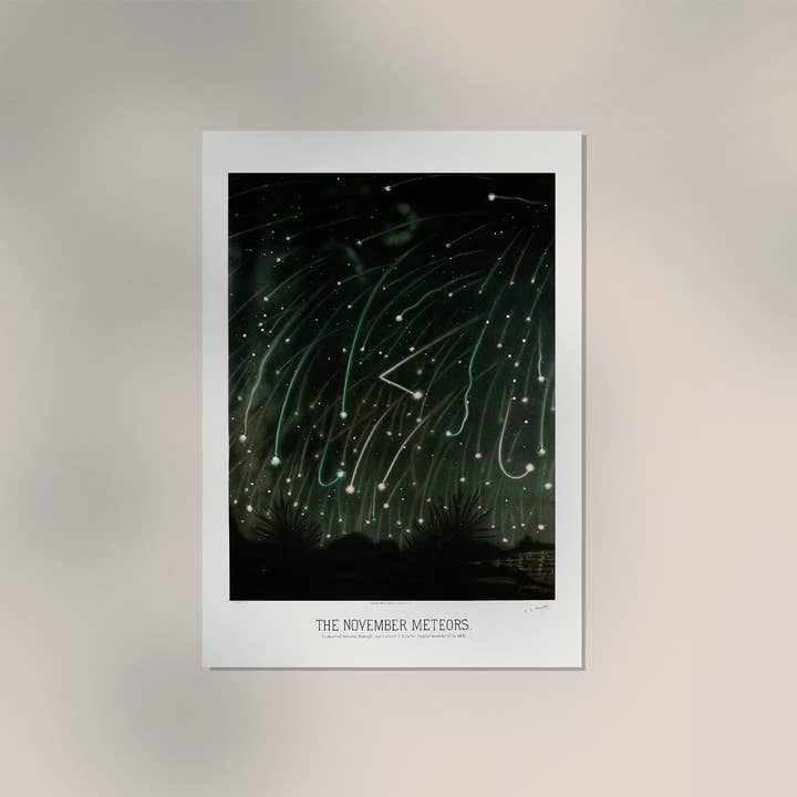 Patroa Studio - Wholesale Poster - November Meteors by Trouvelot Astronomical Poster2