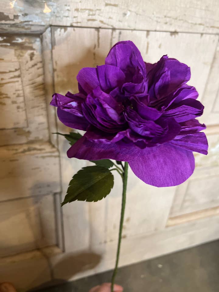 Purple Garden Rose for wholesale by Petals and Pearls Design