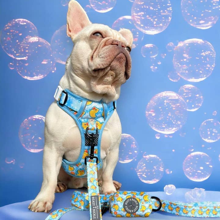 Beast & Buckle - Wholesale Pet Harness - Dog - Rubber Ducky No Pull Dog Harness