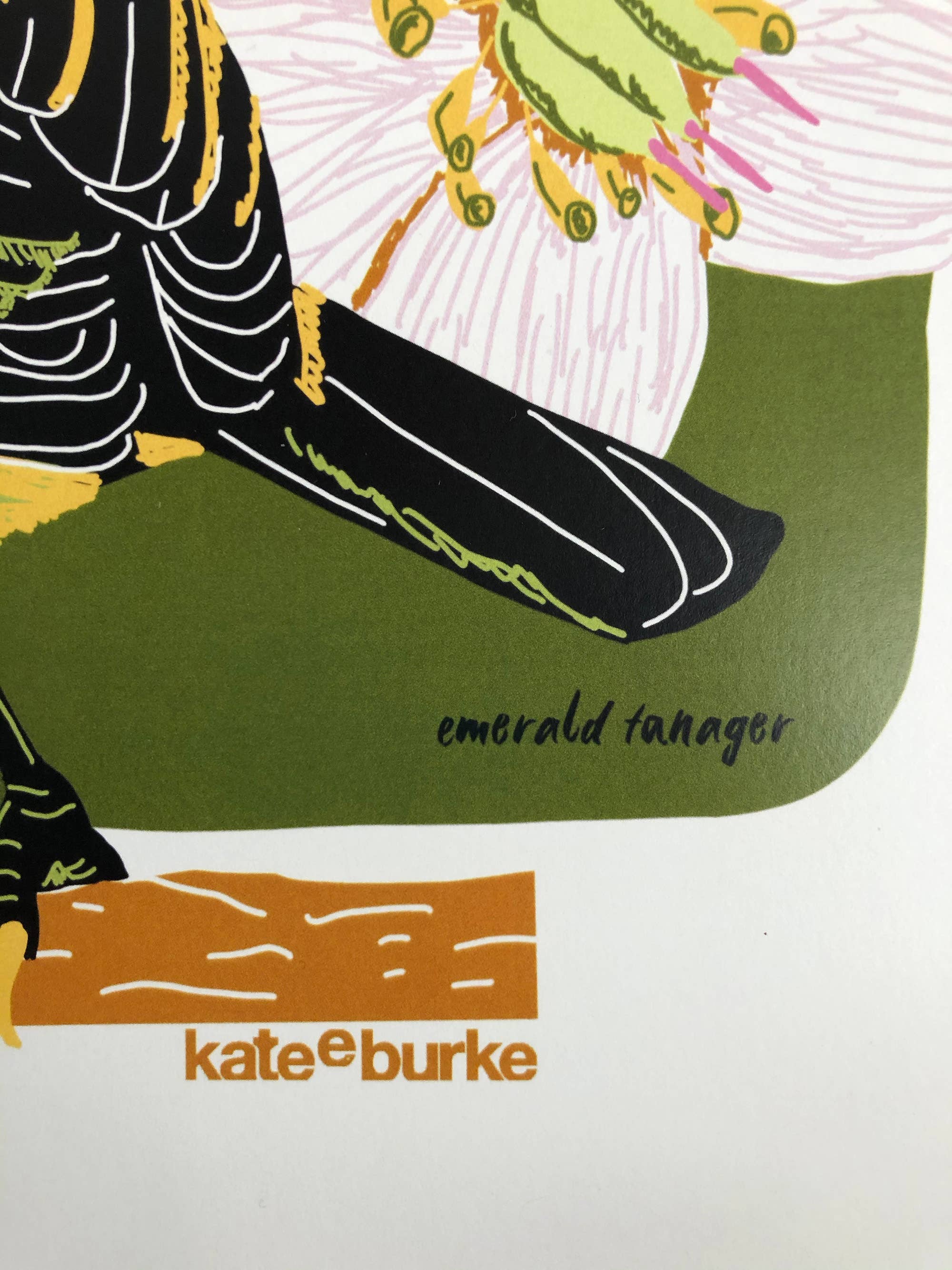 Kate E. Burke - Wholesale Art Print - Bird Series: Emerald Tanager 11x14 Digital Print5