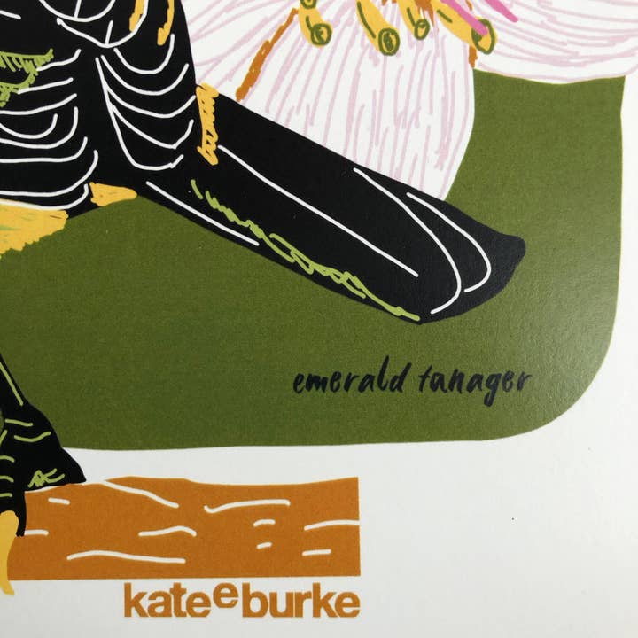 Kate E. Burke - Wholesale Art Print - Bird Series: Emerald Tanager 11x14 Digital Print5