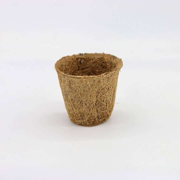 CoirProducts.co.uk of Salike Limited - Venta al por mayor Macetas - Maceta de fibra de coco de 5 cm para siembra 100% biodegradable | Coirproducts