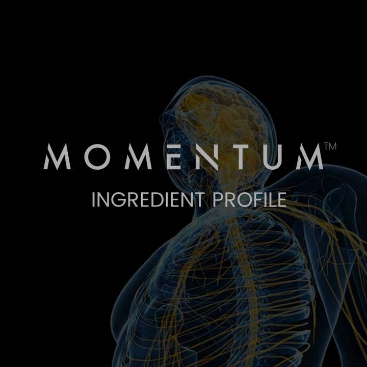Detailed Momentum Ingredient Booklet for wholesale by Momentum