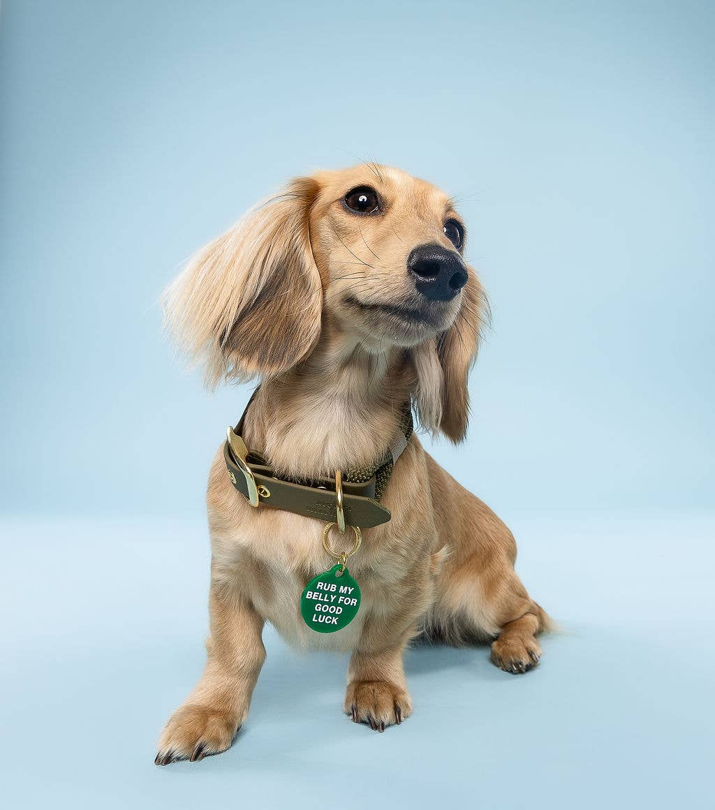 Freshwater Curated Goods - Wholesale Pet Identification Tag - Cat/Dog - Rub My Belly Pet Tag