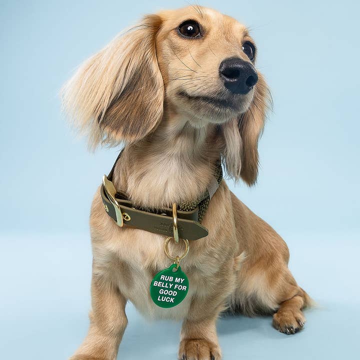 Freshwater Curated Goods - Wholesale Pet Identification Tag - Cat/Dog - Rub My Belly Pet Tag0