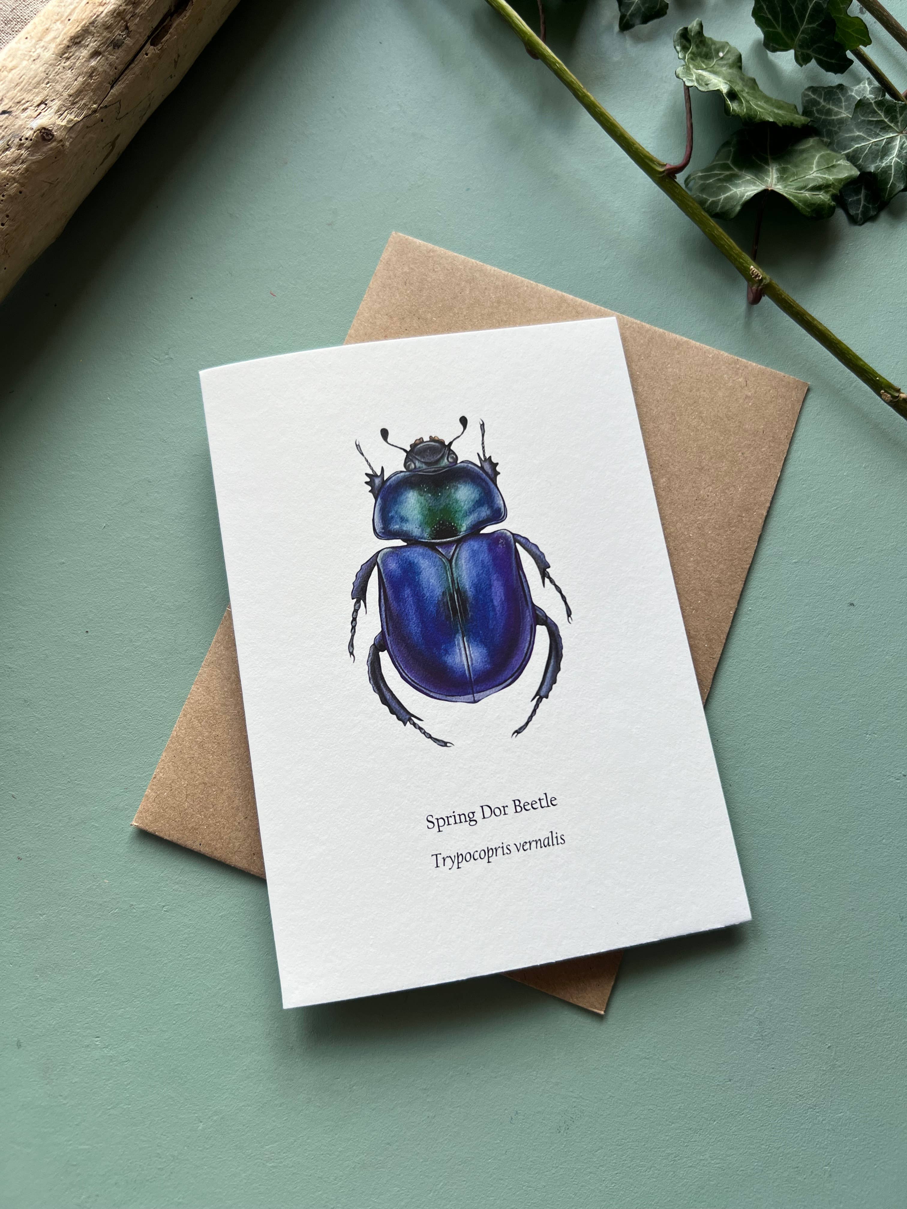 Tansy Moore - Wholesale Everyday Greeting Card - Spring Dor Beetle, Blank Greeting Card 1