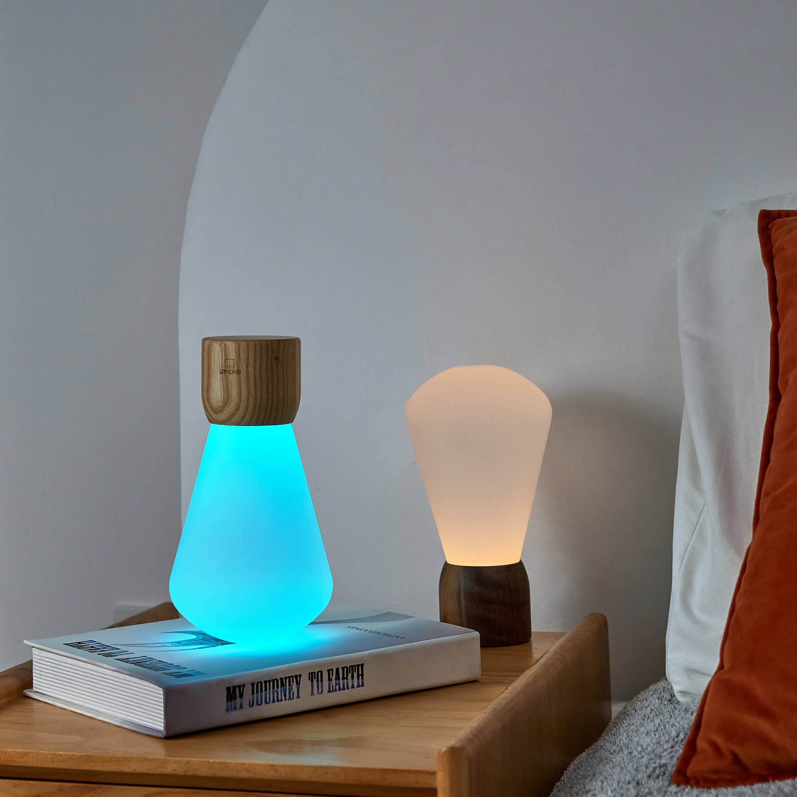 Gingko Design – wholesale Accent/desk lamp – Pentagon Portable Desk Bulb13