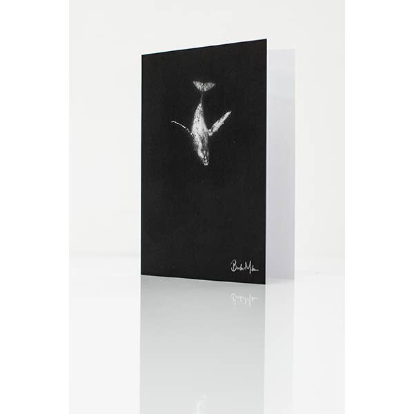 Above And Below Gallery - Wholesale Everyday greeting card - Greeting Card - Scratch1