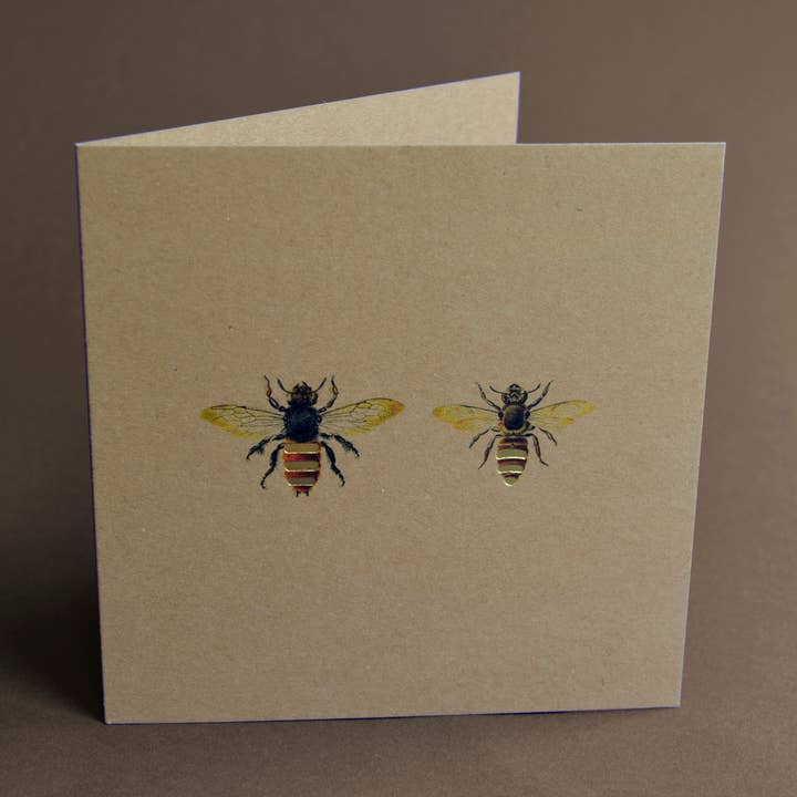 DUE API per la vendita all'ingrosso da parte di KWILL FINE ART AND ILLUSTRATION