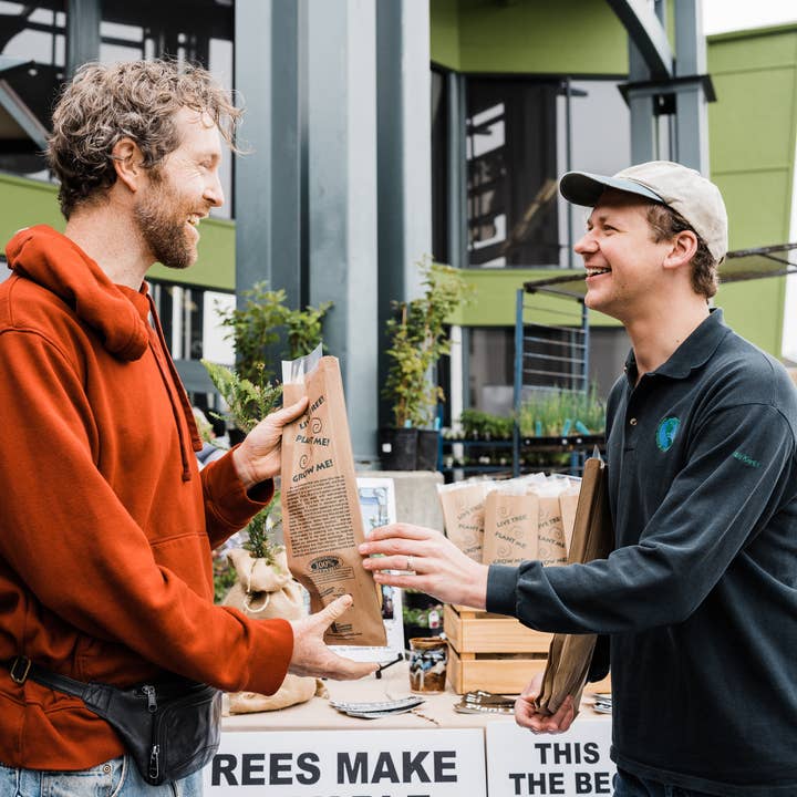 The Jonsteen Company - Wholesale Plant Seeds - Kraft Bag Seedlings4