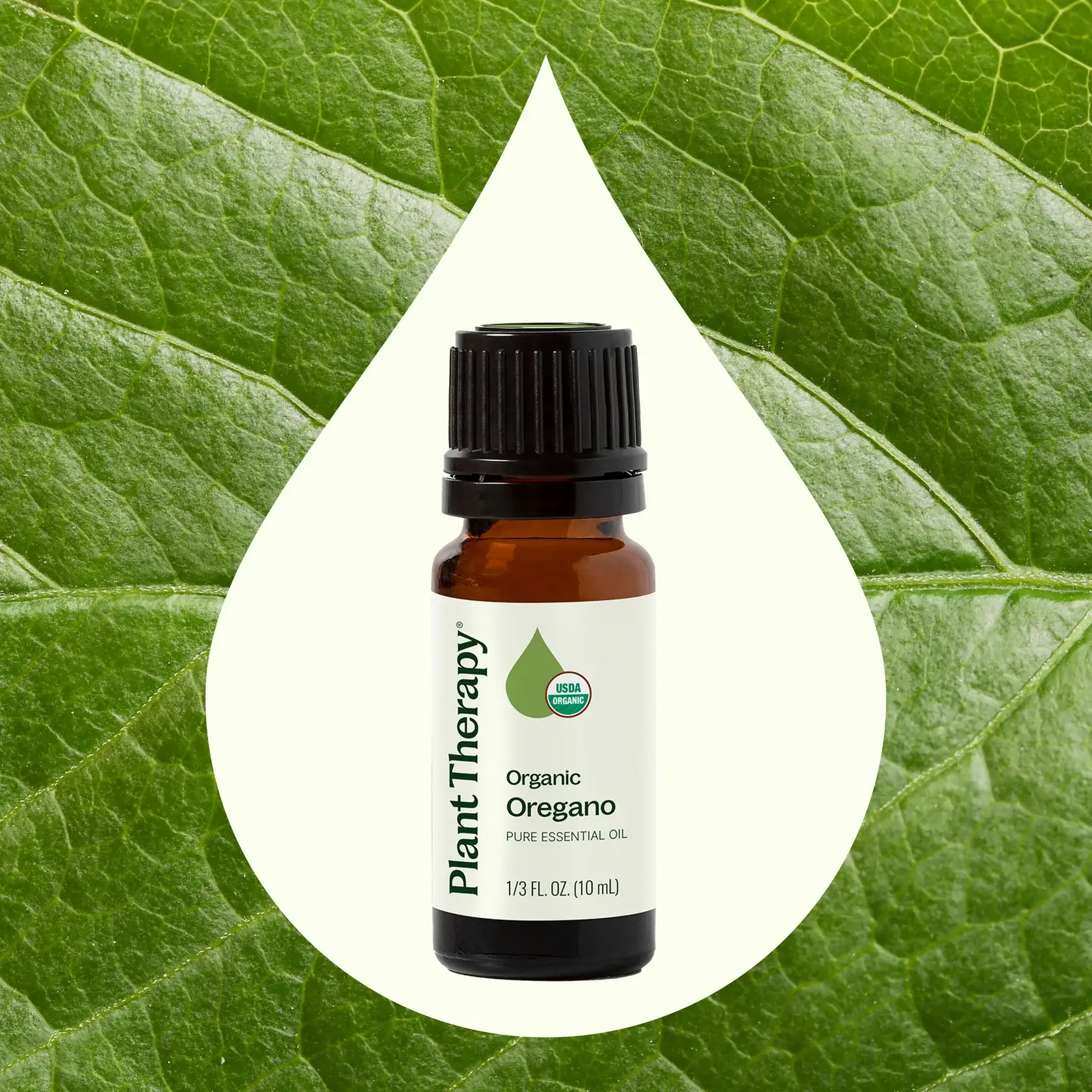Plant Therapy – wholesale Eterisk olja – Organisk Oregano eterisk olja 10mL1