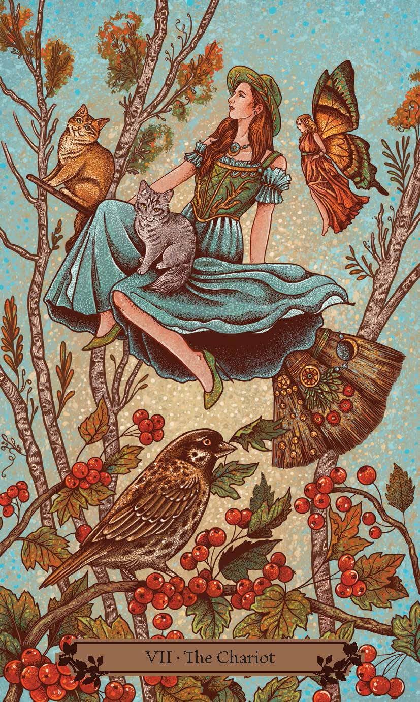 Cardshouse – wholesale Tarot cards – Hedgewitch Tarot cards Llewellyn9