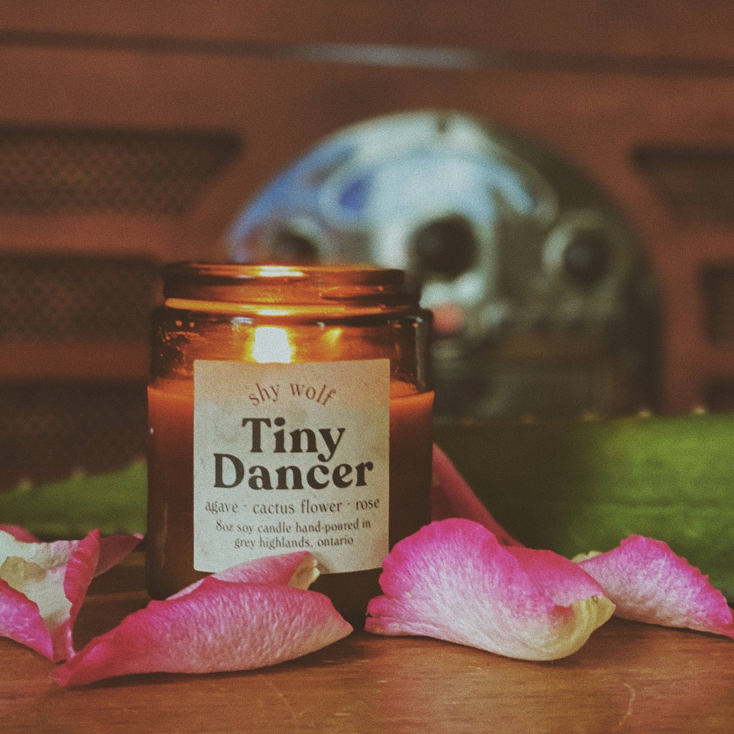 Shy Wolf Candles - Wholesale Jar/Filled Candle - Tiny Dancer5