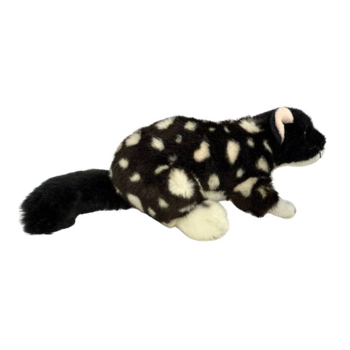Polka - Östlig pungräv - 20 cm, svart för wholesale av Bocchetta Plush Toys