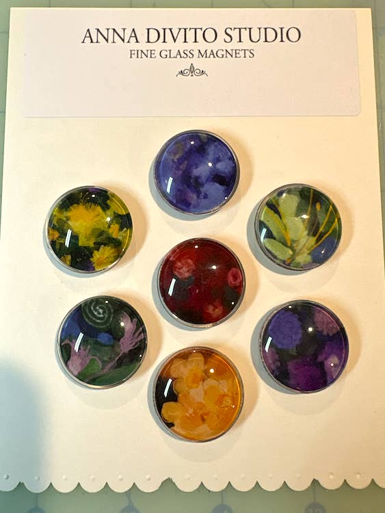 BOTANICAL MULTI COLORED MAGNET SET | GLASS | HANDCRAFTED for wholesale by Anna DiVito Studio