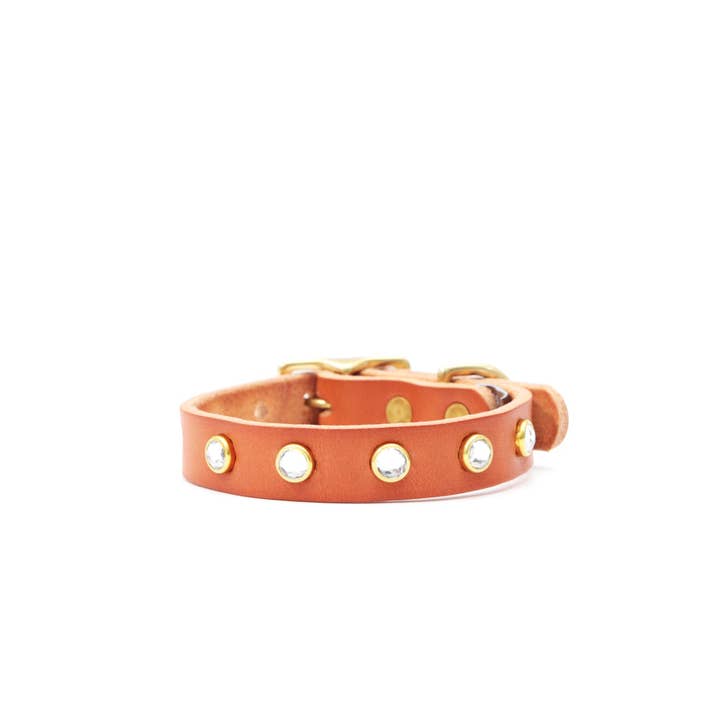 Mimi Green - Venta al por mayor Collar - Perros - Hebilla de cinturón para collar de perro con tachuelas - Gemas transparentes - Coco