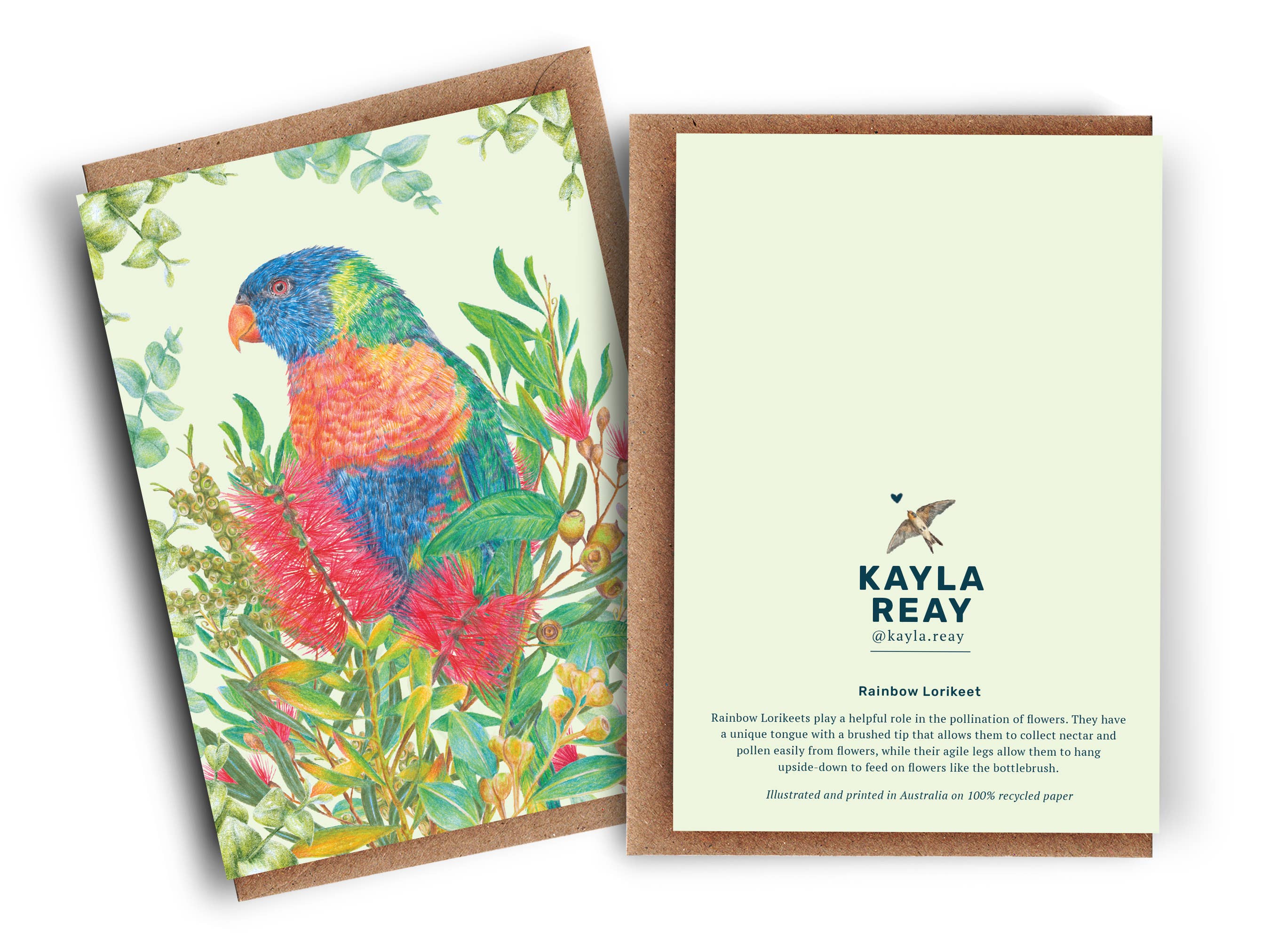 Kayla Reay Design - Wholesale Everyday Greeting Card - Rainbow Lorikeet Greeting Card - Australian Bird Art2