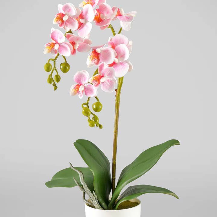 Jamali Garden - Wholesale Artificial Flowers - 16in Tall Pink Phalaenopsis Orchid Potted Plant0
