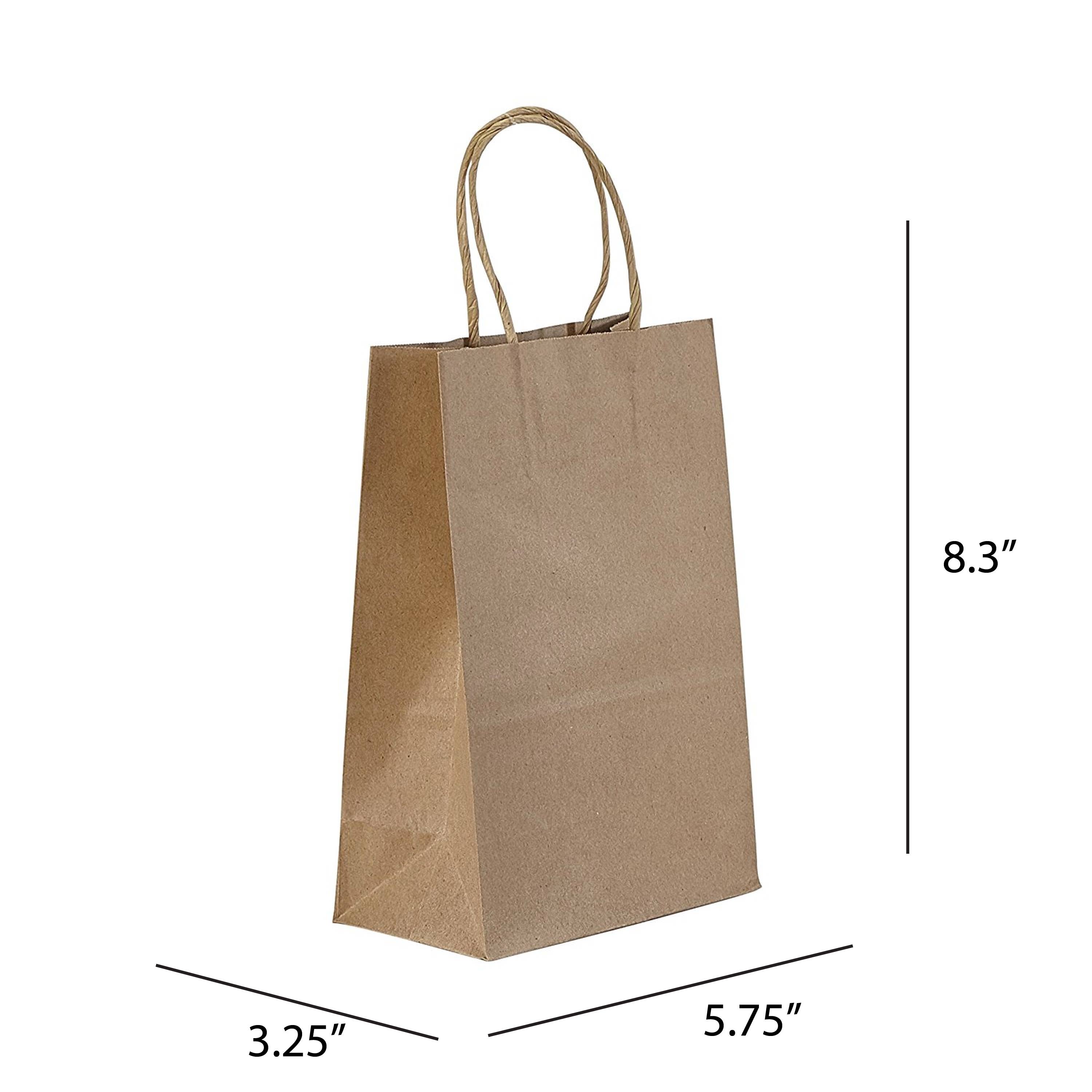 PTP BAGS - Wholesale Gift Bag - Natural/White Paper Bag - 5.75 x 3.25 x 8.375 (250 Pack)