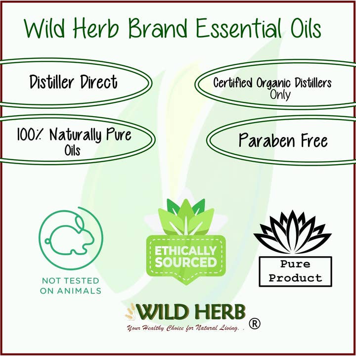 Wild Herb Soap Co – wholesale Eterisk olja Roll-On – Oregano Essential Oil Roller Top flaska redo att användas