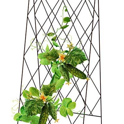 Panacea Rustic Heirloom Folding Trellis, Brown, 60"H for wholesale by BestNest Inc