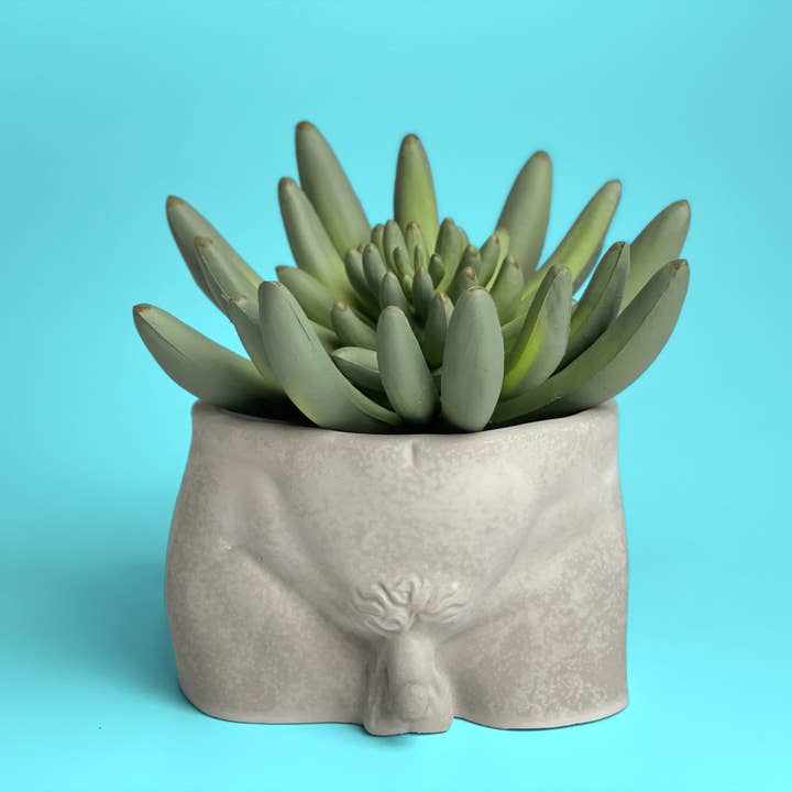 AURA 8 Art Boutique - Wholesale Plant Pot - Butt Planter, Men Body Planter Pot, Male Greek Sculpture
