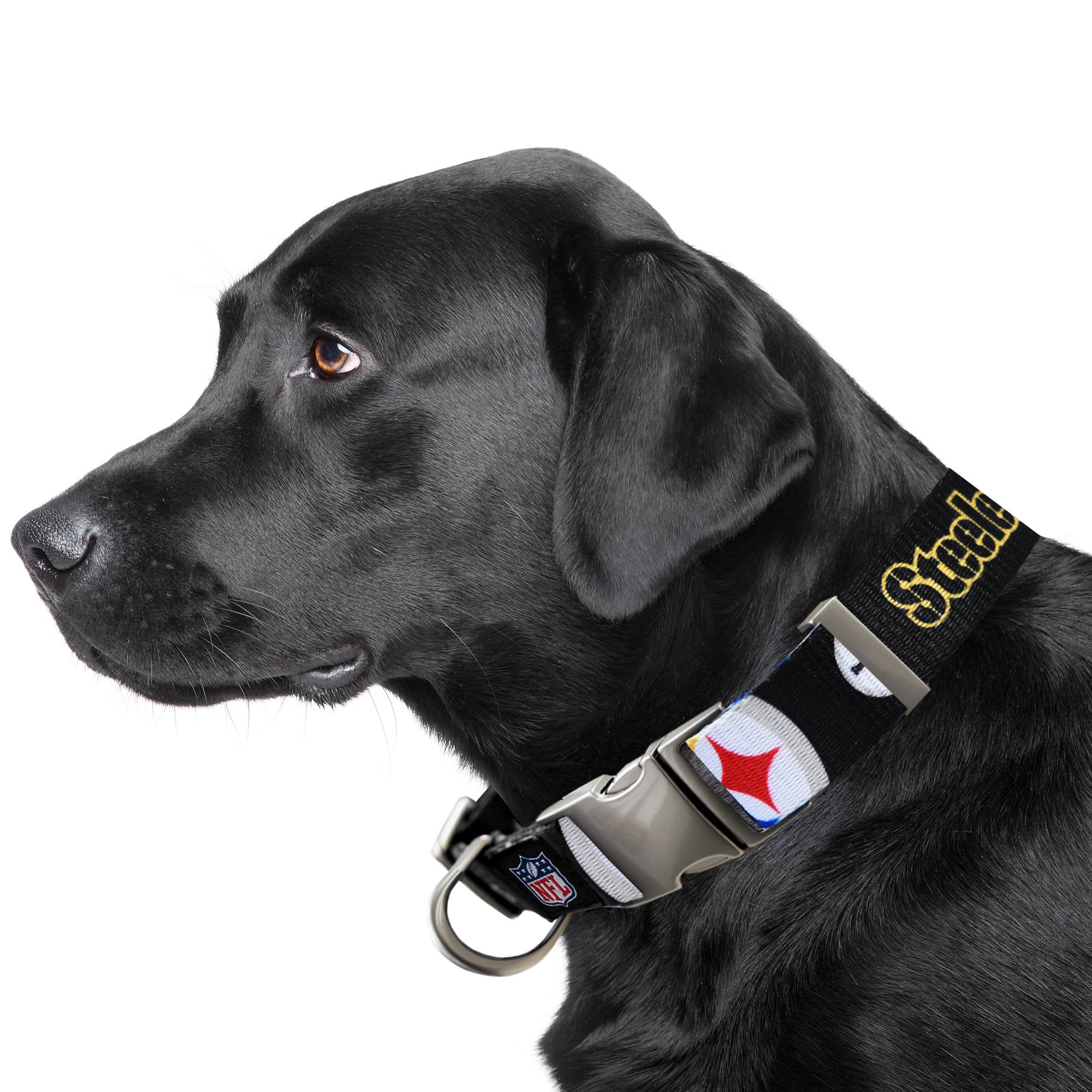 Little Earth Productions - Wholesale Pet Collar - Dog - NFL Pittsburgh Steelers Premium Pet Collar1