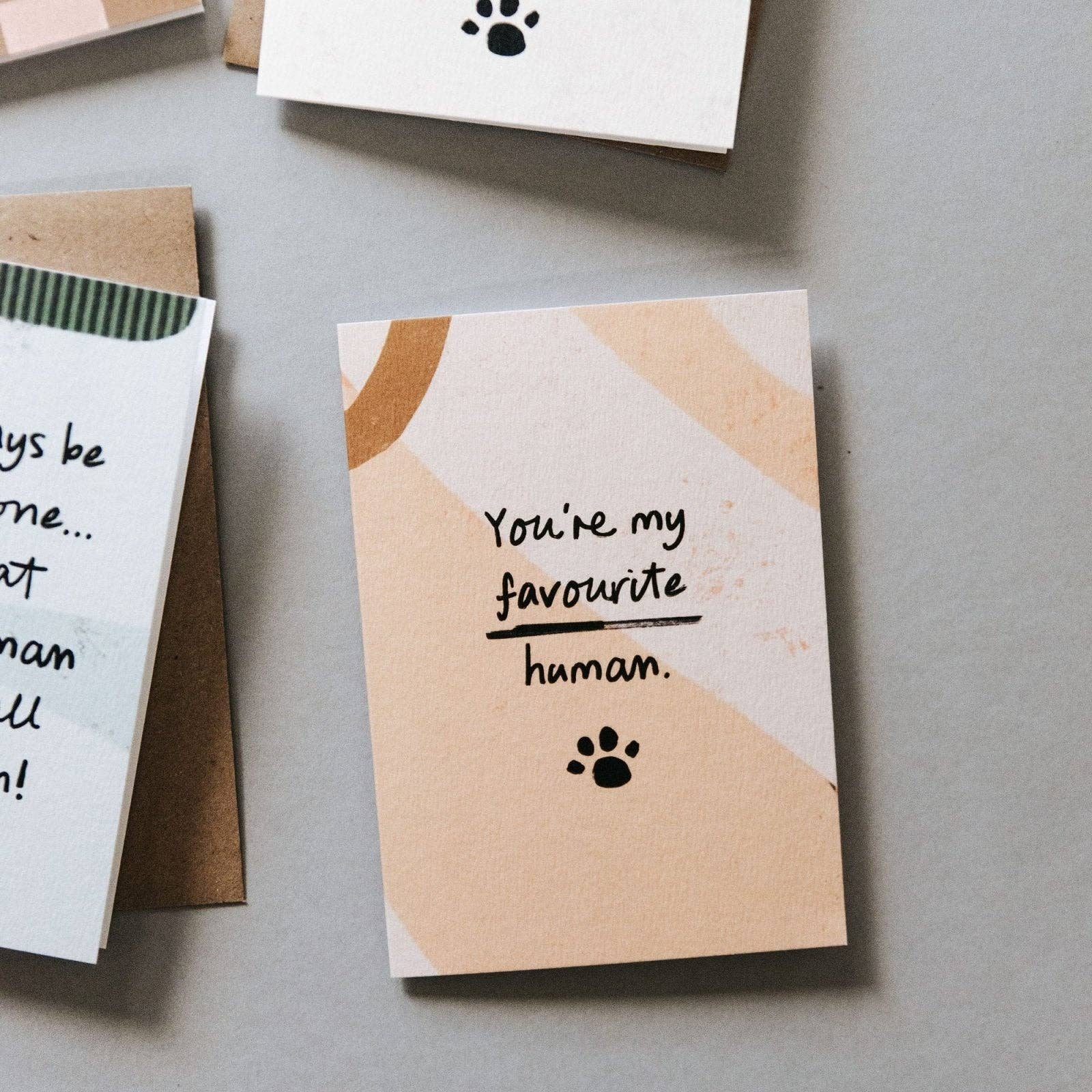 I am Nat Ltd - Wholesale Love Card - Favourite Human Card from Dog or Cat5