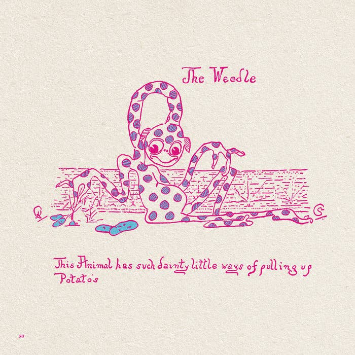 50 Watts - Wholesale Early Reader Book (6-8) - Animal Land Where There Are No People - Sybil and Katharine Corbet4