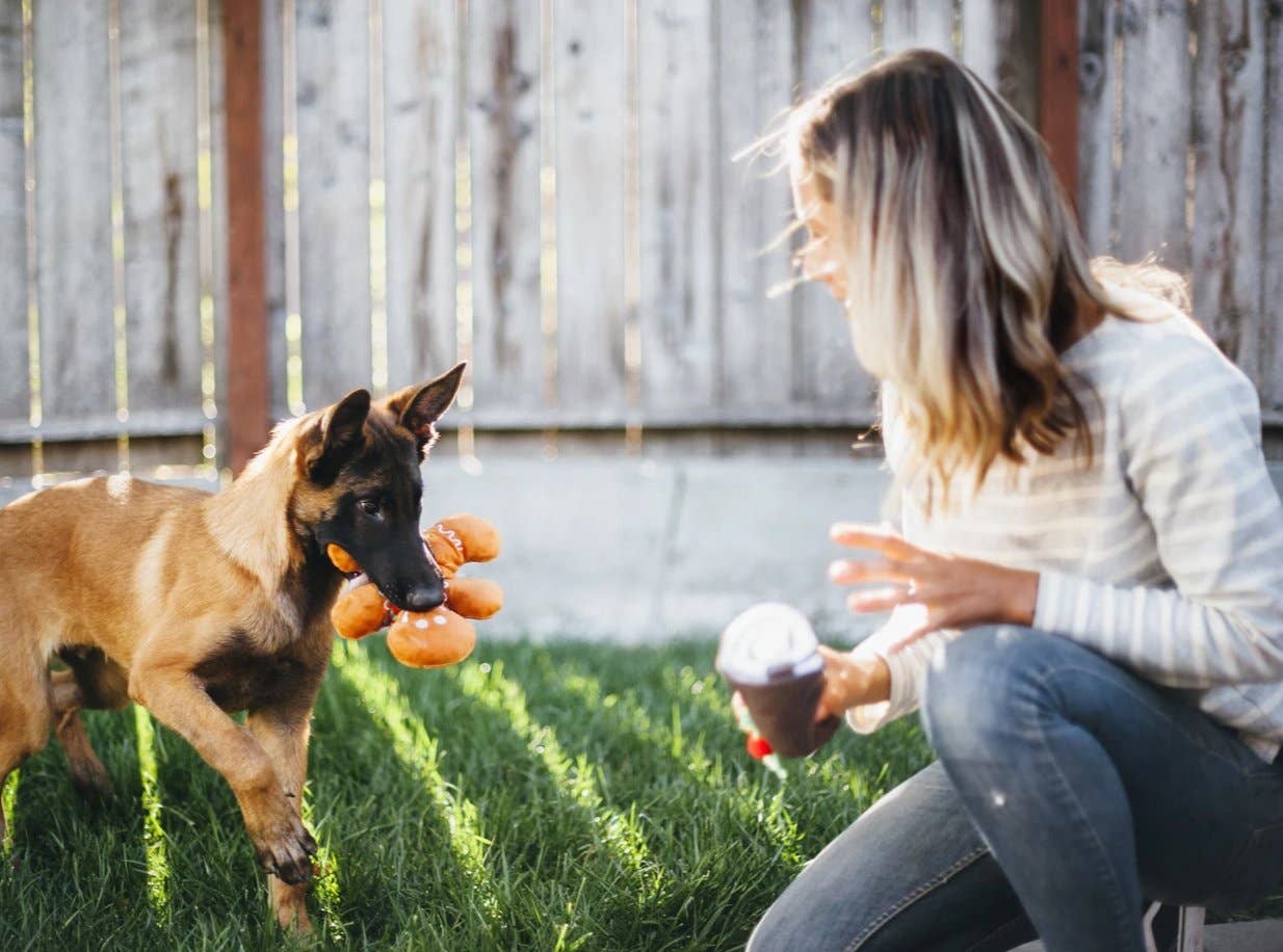 In Vogue Pets – wholesale Pet plush toy – Dog – Christmas Gingerbread Man Plush Toy5