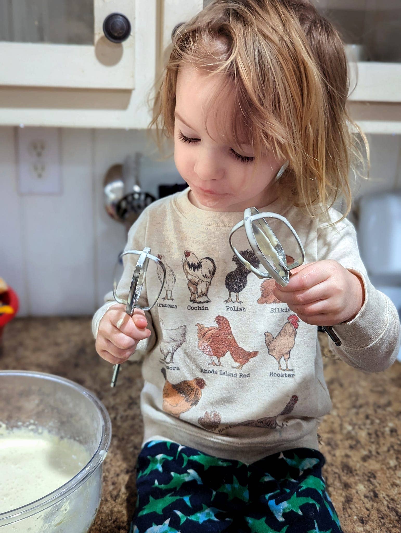 Barefoot Baby - Venta al por mayor Camiseta serigrafiada - Niños - Ropa de verano para niños del campo occidental de granja de razas de pollos3