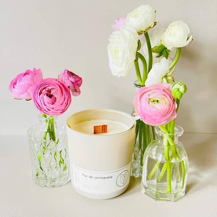 flor de primavera for wholesale by olent