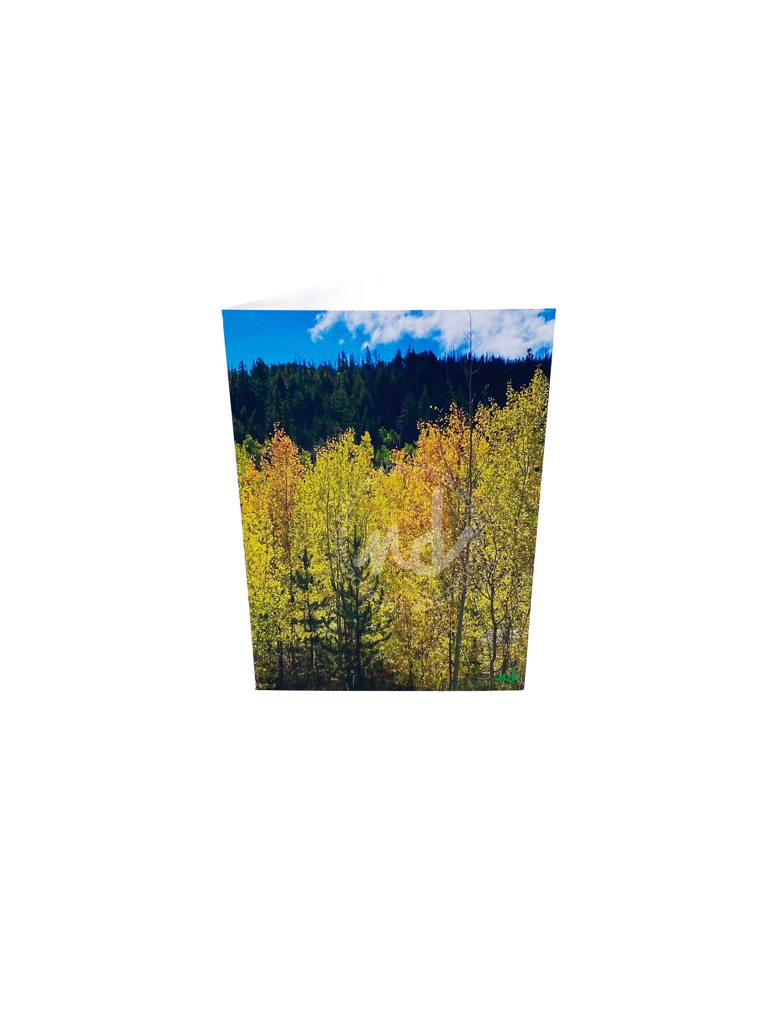 The Blooming Collector - Wholesale Everyday Greeting Card - "Frisco Fall Leaves" Single Card0