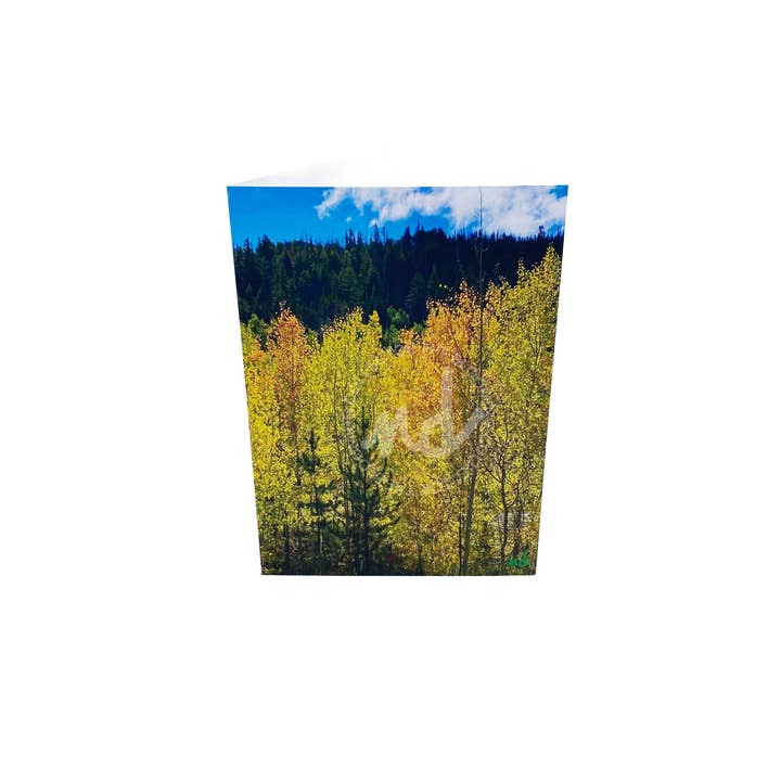 The Blooming Collector - Wholesale Everyday Greeting Card - "Frisco Fall Leaves" Single Card