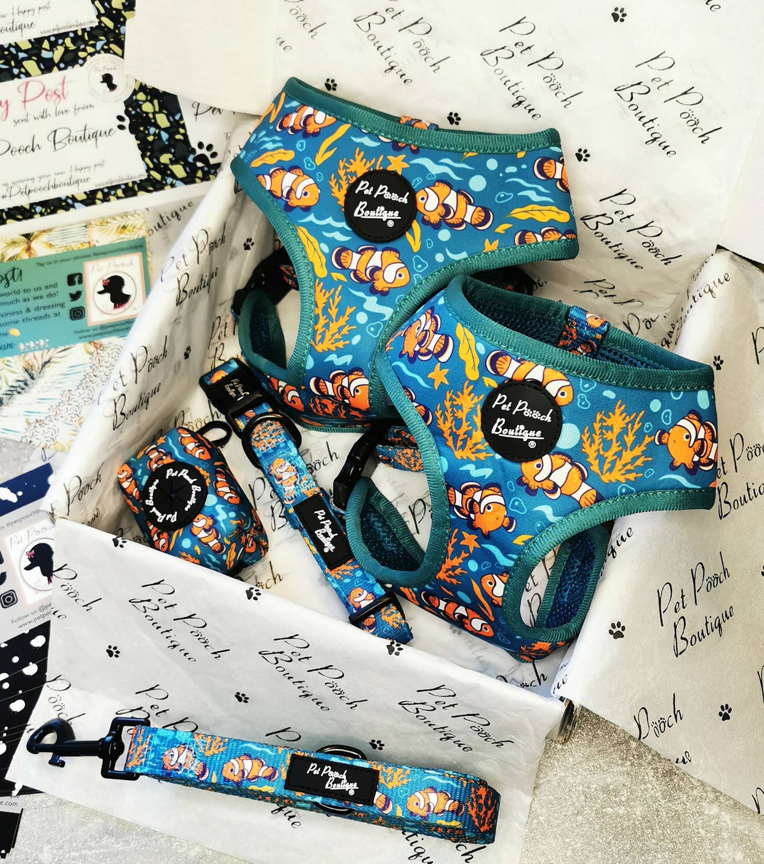 Pet Pooch Boutique – wholesale Pet collar – Dog – Under The Sea Dog Collar (fish/ blue/summer)2