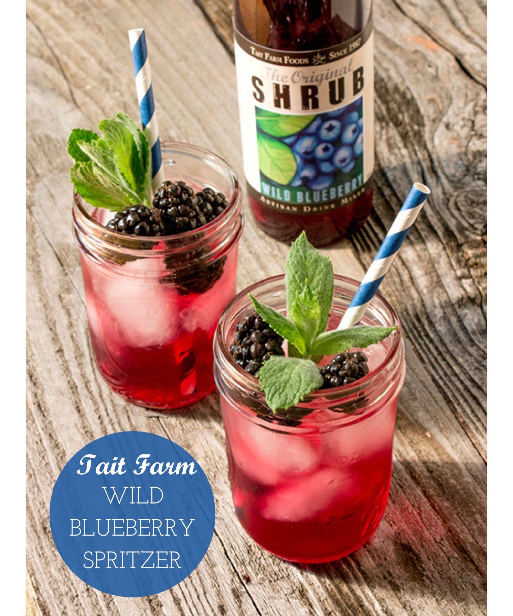 Tait Farm Foods - Vente Sodas/boissons gazeuses - Arbuste aux bleuets sauvages2