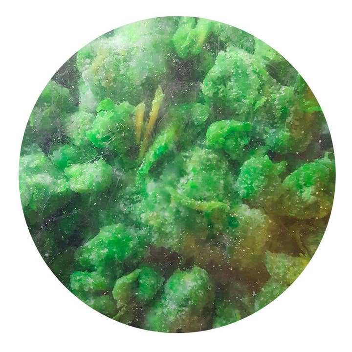 Encens naturel Espérance de vie - 100 gr pour la vente par MAISON HALLEUX SRL