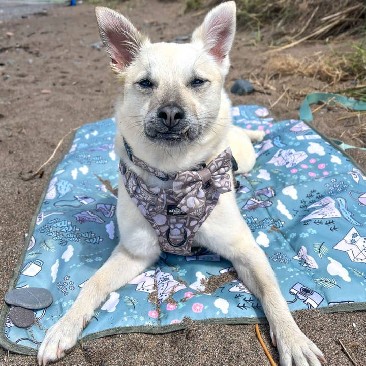 Syd&Co - Wholesale Pet Mat - Dog - Paws Outdoors Dog Settle Mat Travel Mat