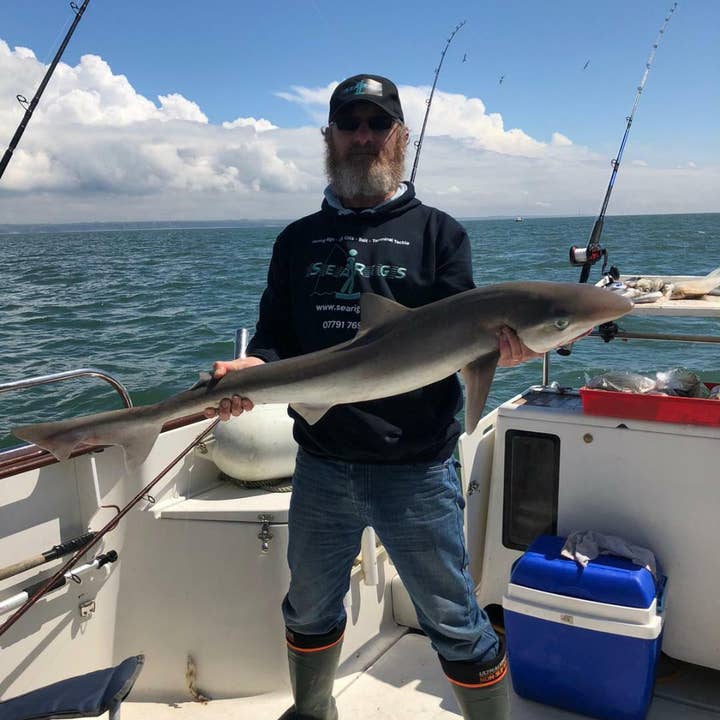 SEARIGS UK LTD – wholesale Sporting accessories – Sea Fishing Super Sticky Dip Natural Extracted Bait Oil 1254