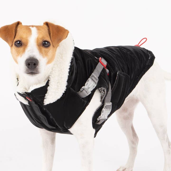 Zara Puffer Dog Jacket for wholesale by Silver Paw