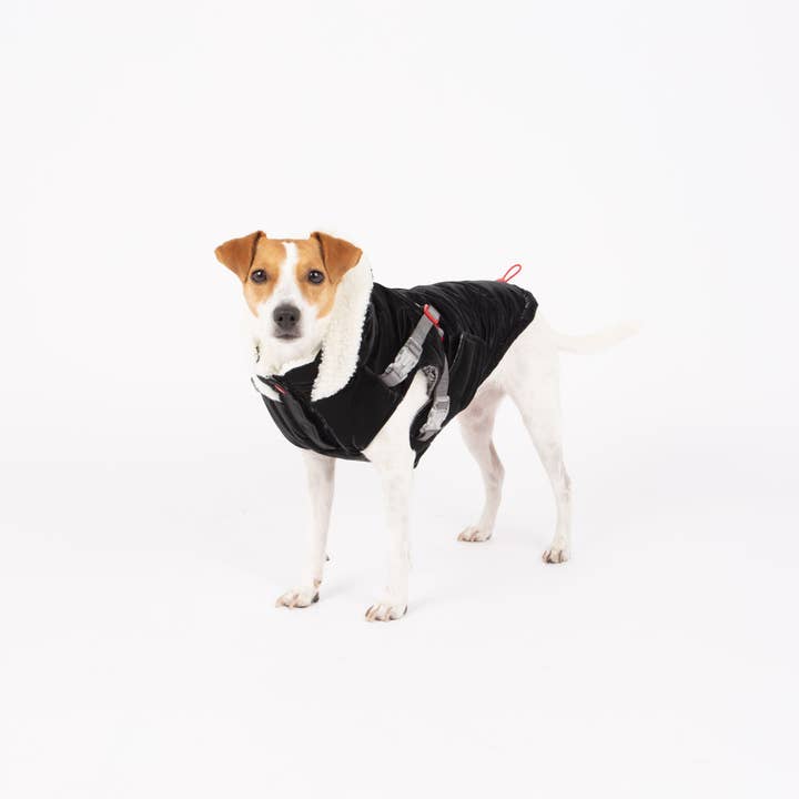 Zara Puffer-Hundejacke für den Großhandel von Silver Paw