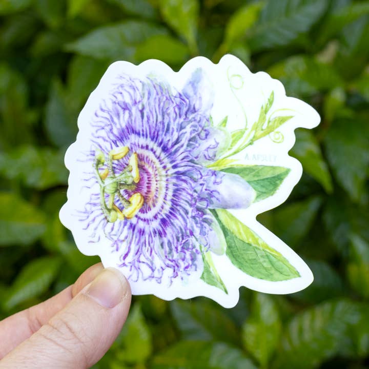 Passionflower klistermärke för wholesale av Aaron Apsley Artwork