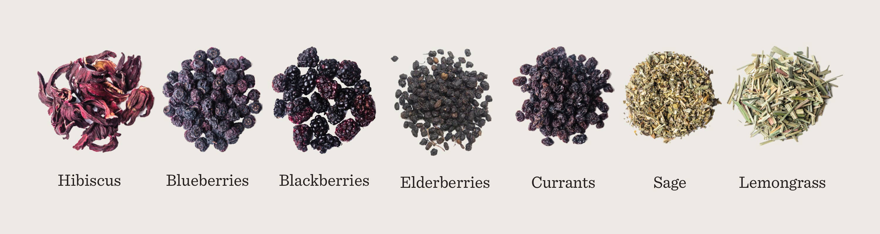 Piper & Leaf Artisan Tea Co – wholesale Tea bags – Briar Patch Brew Bulk Sachets - 70ct Tea Bags3