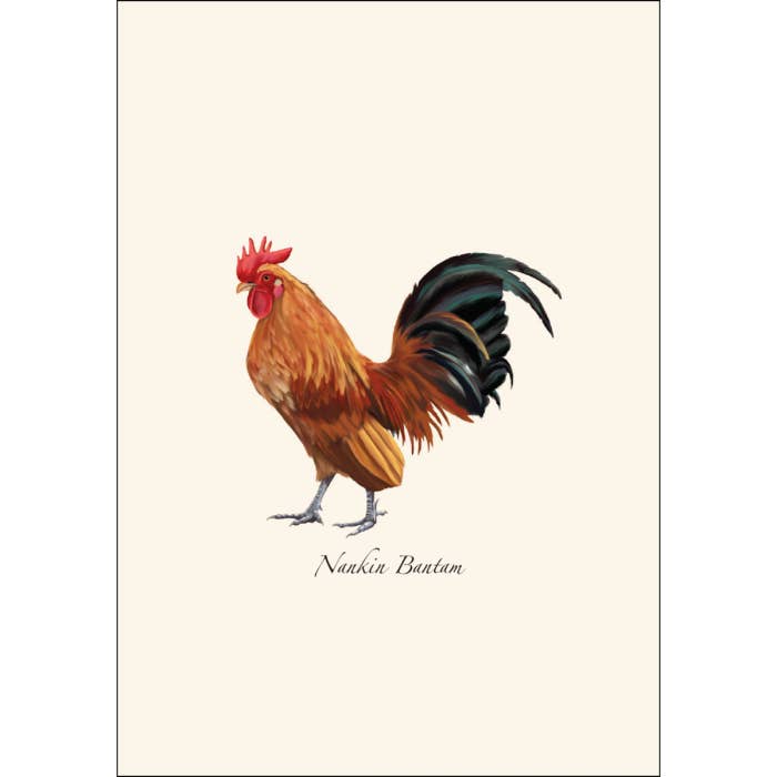 Earth Sky + Water - Wholesale Stationery/Notecard Set - Chicken Assortment