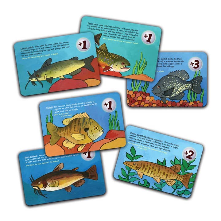 Jr. RangerLand - Wholesale Card Game - Jr. Rangerland Fickle Fish Card and Dice Game3