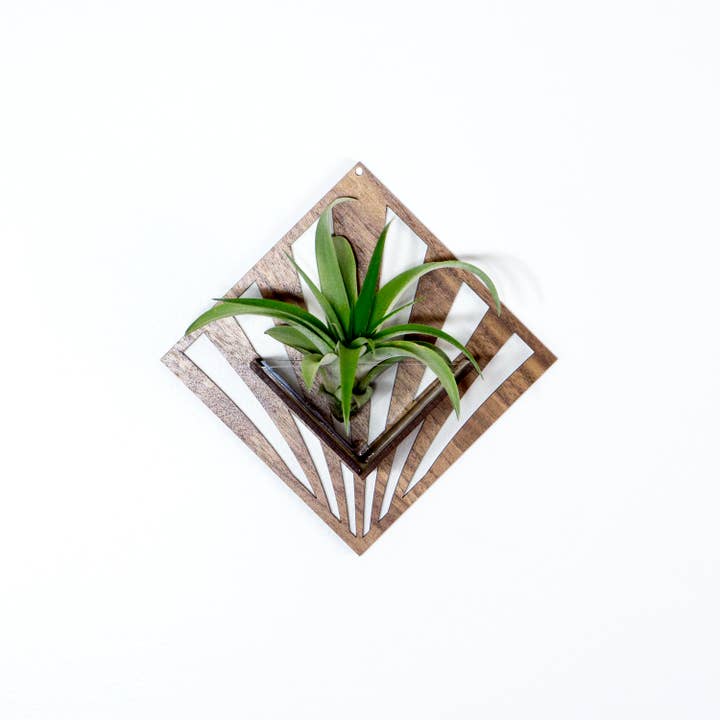 LIGHT RAZOR DESIGN STUDIO - Wholesale Wall planter - Air Plant Holder / Quadrate Wall Hanging Planter 222