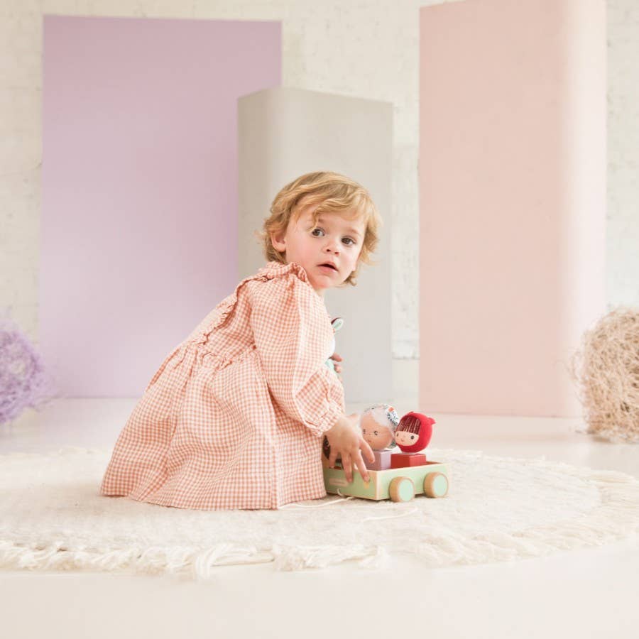 Juratoys - Wholesale Toy Car/Truck - Kids - Louis Pull Along Car & Shape Sorter10